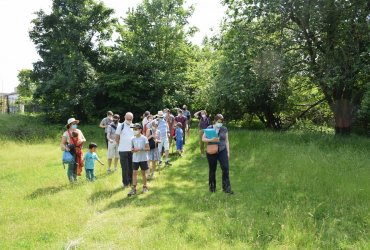 RANDONNÉE MILLE PATTES DANS LA VILLE ET LE PARC - 12 JUIN 2021